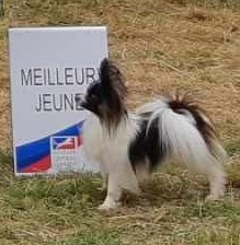 CH. Marmeladka aka Laïka (Sans Affixe)