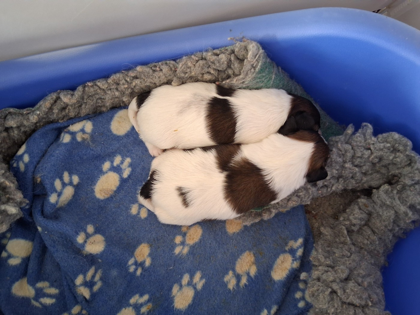 De superbes filles attendent leur famille